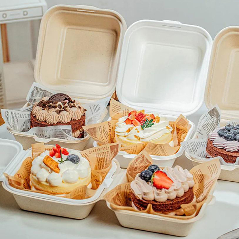 【Nice】10pcs Disposable Bento F - Nice Food Snacks 评论和价格
